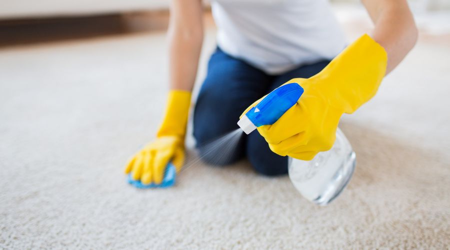 7 Carpet Cleaning Tips For Cat Owners