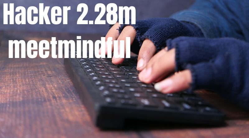 The hackers 2.28m meetmindful Idscimpanuzdnet hack