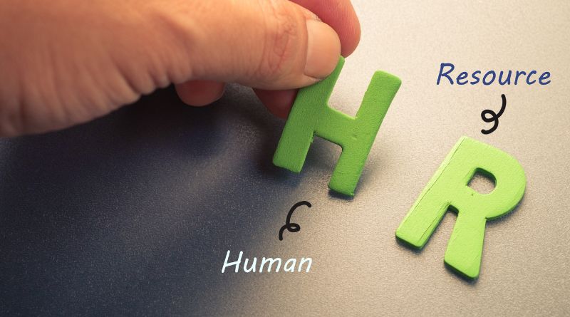 HR Software - Why Your Business Needs an Online HR System