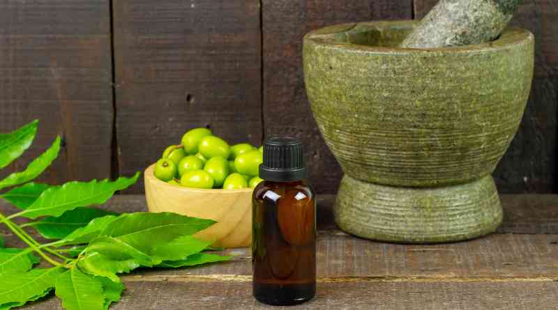 Wellhealth Ayurvedic Health Tips For a Holistic Well-being