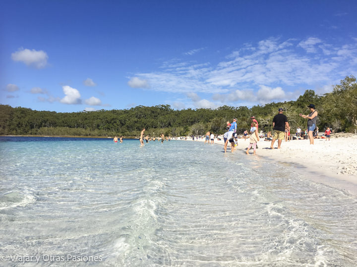 viajar a isla fraser, queensland, australia qué ver y dónde alojarse